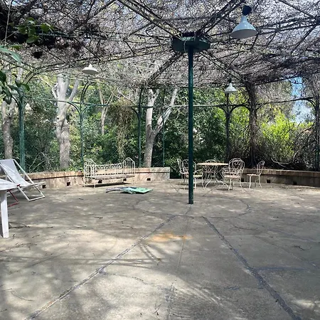 T2 Palais Lumière, à 200m *